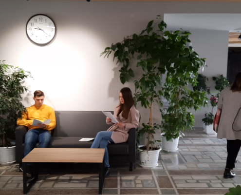 6